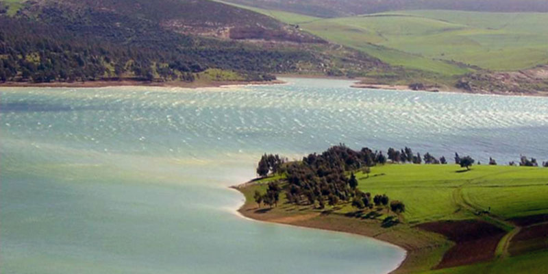 Bizerte Parc Dichkeul Chute Vertigineuse Des Effectifs Et De La