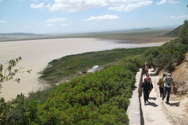 Parc National Ichkeul