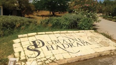 Photo of Visite au Domaine Shadrapa à Slouguia