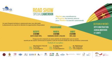 Photo of Road show  Cameroun