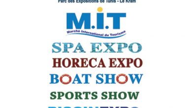 Photo of Workshops