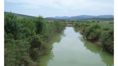 Photo of Bizerte : conservation des plantes patrimoniales