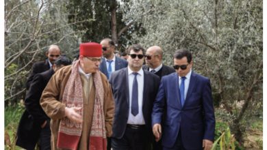 Photo of Zaghouan capitale du tourisme alternatif