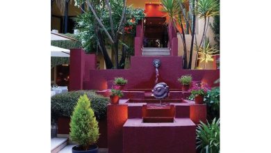 Photo of L’Astragale est le meilleur