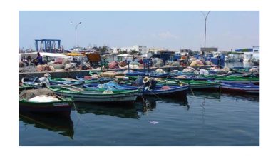 Photo of Produit de la pêche : hausse de 23,9% de la valeur des exportations des produits
