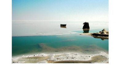 Photo of Chott Jerid : lancement d’un circuit géo-touristique