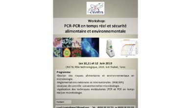 Photo of PCR-PCR en temps réel et sécurité alimentaire et environnementale