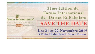 Photo of Forum International des Dattes et des Palmiers : 2ème édition