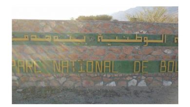 Photo of Aménagement d’un circuit touristique au parc de Bouhedma