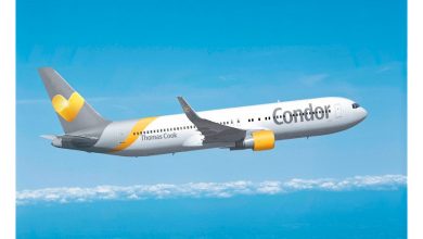 Photo of Condor