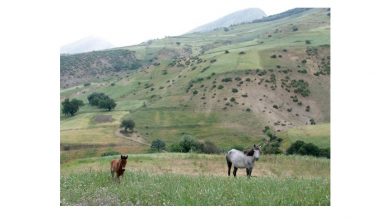 Photo of Promouvoir l’économie verte