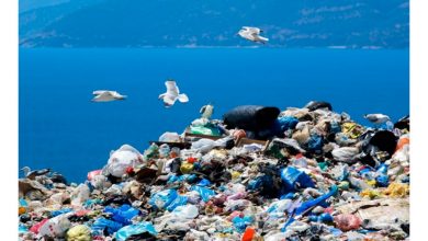 Photo of Comment dépolluer la Méditerranée?