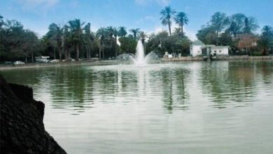 Photo of Tunis : Parc du Belvédère : réouverture imminente