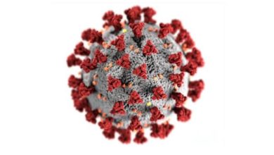 Photo of Les touristes en voyage organisé dispensés du test PCR