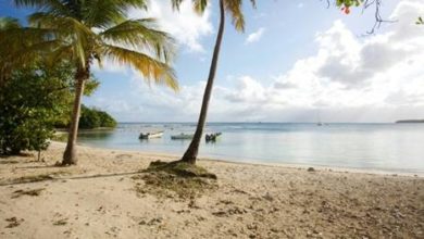 Photo of France d’Outre-mer : fin de la quarantaine