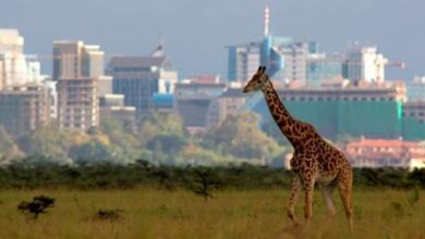 Photo of Le Kenya rouvre ses frontières aériennes