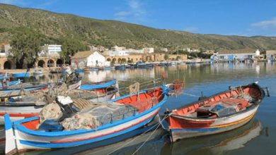 Photo of WWF : étude pour mettre fin au dessèchement de la Sebkhet Sidi Ali à Bizerte