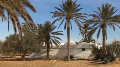 Photo of Djerba : validation de l’étude d’aménagement de la zone sensible