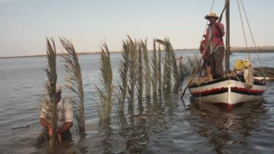 Photo of La pêche à la Charfiya inscrite sur la liste du patrimoine culturel de l’Humanité
