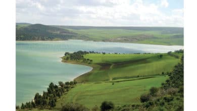 Photo of Bizerte:  parc d’Ichkeul : chute vertigineuse des effectifs et de la diversité d’oiseaux