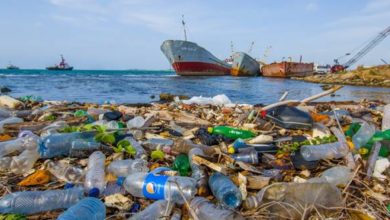 Photo of La pollution plastique fait perdre à la Tunisie 20 millions de dollars chaque année