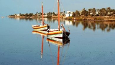 Photo of Kerkennah : débarrasser les îles des déchets plastiques