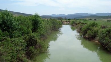 Photo of Garâa Sejenane classé site RAMSAR