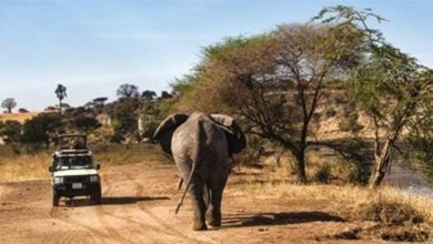 Photo of PROMOUVOIR LA « MARQUE AFRIQUE » POUR MATÉRIALISER LE POTENTIEL TOURISTIQUE DU CONTINENT