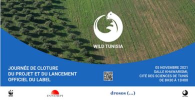 Photo of LANCEMENT DU LABEL “WILD TUNISIA”