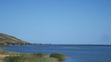 Photo of LA TUNISIE AU FORUM DES AIRES MARINES PROTEGEES EN MEDITERRANEE