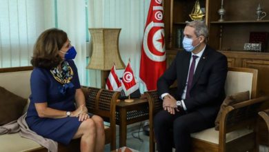 Photo of TUNISIE-AUTRICHE : DEVELOPPER LA COOPERATION DANS LE DOMAINE DE LA FORMATION