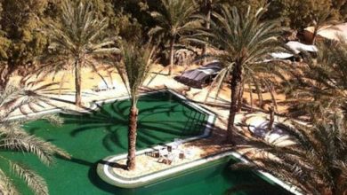 Photo of KEBILI: HAUSSE DES INDICATEURS TOURISTIQUES