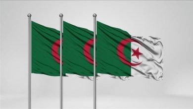 Photo of Algérie : Sept Nouvelles Compagnies Aériennes En Vue ?