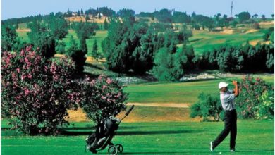 Photo of LIMOGEAGE DU PDG DE LA STDG