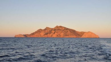 Photo of COMMENT SOUTENIR LA GESTION DES&nbsp;AMP&nbsp;?