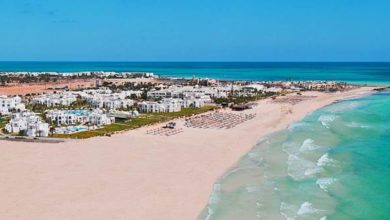 Photo of REPRISE FEBRILE A DJERBA-ZARZIS&nbsp;