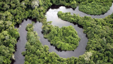 Photo of CONFERENCE INTERNATIONALE SUR LES ECOSYSTEMES