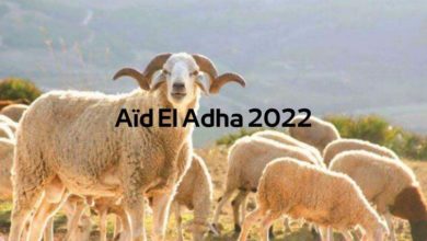 Photo of AID EL-IDHA: 9 JUILLET