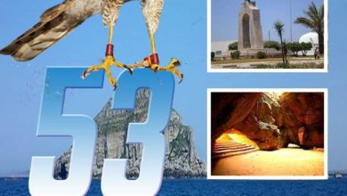 Photo of HAOUARIA : FESTIVAL DE L’EPERVIER