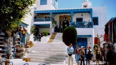 Photo of SIDI BOU SAÏD ACCUEILLE LA SEMAINE DE LA GRENADE