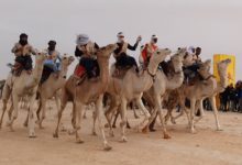 Photo of COURSES DES DROMADAIRES A DOUZ POUR PROMOUVOIR LE TOURISME SAHARIEN