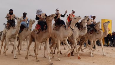 Photo of COURSES DES DROMADAIRES A DOUZ POUR PROMOUVOIR LE TOURISME SAHARIEN