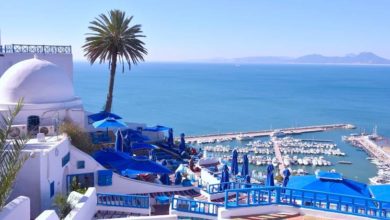 Photo of TOURISME TUNISIEN&nbsp;: 5,4 MILLIONS ARRIVEES AU 31 OCTOBRE