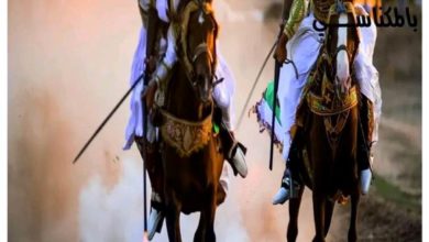 Photo of FESTIVAL DU PUR-SANG ARABE DE MEKNASSI