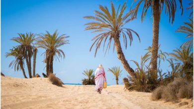 Photo of FETES DE FIN D’ANNEE 2022 A DJERBA-ZARZIS : L’EFFET SOMMET DE LA FRANCOPHONIE