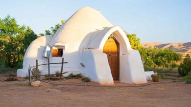 Photo of DOMAINE OUED EL KHIL: UNE MAISON D’HOTES ECOLOGIQUE A GHOMRASSEN